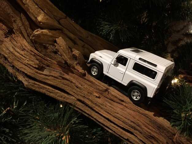 Customize Your Jeep for Unique Personal Expression and Functionality
