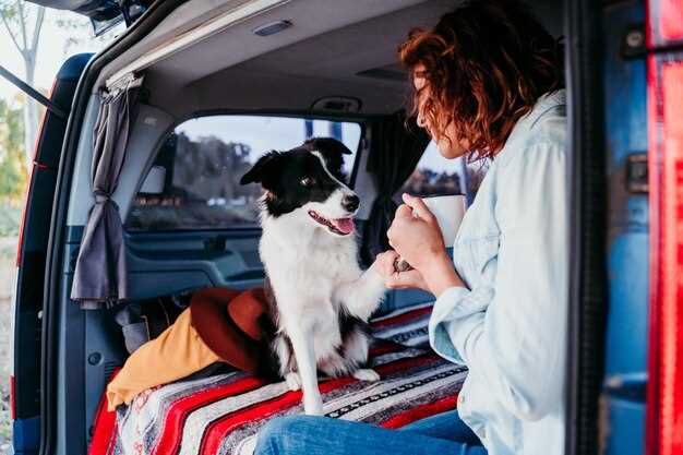Best Jeep Models for Traveling with Dogs