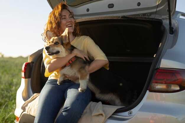 Why Jeeps are perfect for pet owners